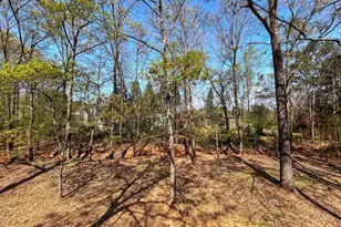 160 Kirkwood Dr, Athens, GA 30606 - Photo 40