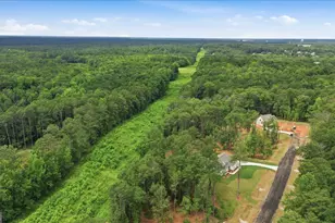 2474 Fischer Rd, Sharpsburg, GA 30277 - Photo 60