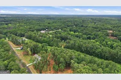 2474 Fischer Road, Sharpsburg, GA 30277 - Photo 62