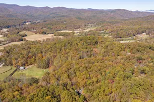 1010 Meadowview Ridge, Clarkesville, GA 30523 - Photo 54