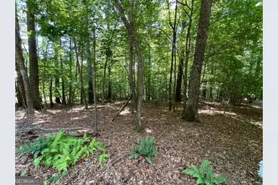 Lot 2 Mount Pleasant Ridge Road #2, Blairsville, GA 30512 - Photo 2