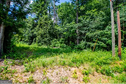 0 Pleasant Ridge Church Road, Carrollton, GA 30117 - Photo 28