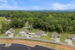 230 Campbell St, Cleveland, GA 30528 - Photo 34