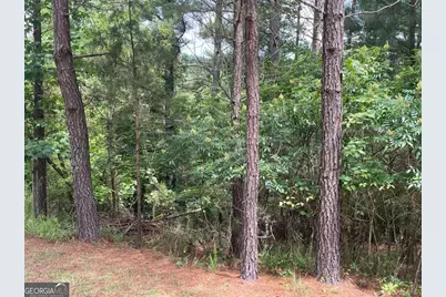 Lot 1 Pinehurst #1, Blairsville, GA 30512 - Photo 6
