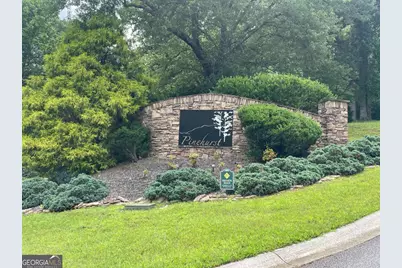 Lot 1 Pinehurst #1, Blairsville, GA 30512 - Photo 2