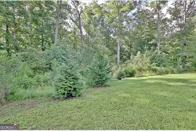 134 Old Bailey Farms Drive, Senoia, GA 30276 - Photo 70