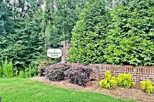 134 Old Bailey Farms Dr, Senoia, GA 30276 - Photo 74