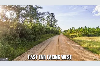 2340 Joyner Oglesby Rd.(Lot 1), Sardis, GA 30456 - Photo 2