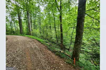 Tract 2A Poplar Cove Trail, Suches, GA 30572 - Photo 4