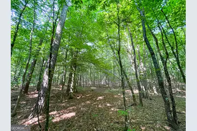 1175 Everett Springs Road, NE (32 +/- Ac.), Calhoun, GA 30701 - Photo 46
