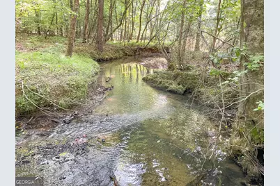 1175 Everett Springs Road, NE (32 +/- Ac.), Calhoun, GA 30701 - Photo 10