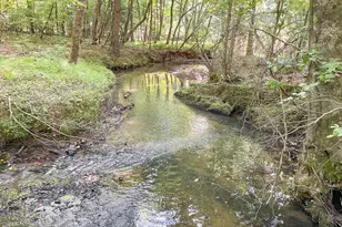 1175 Everett Springs Road NE (32 +/- Ac ), Calhoun, GA 30701 - Photo 10