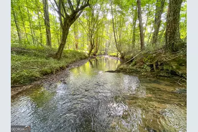 1175 Everett Springs Road, NE (32 +/- Ac.), Calhoun, GA 30701 - Photo 4