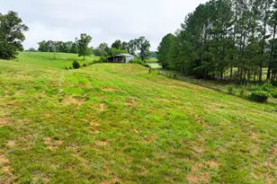 135 Evans Road NW, Rydal, GA 30171 - Photo 66