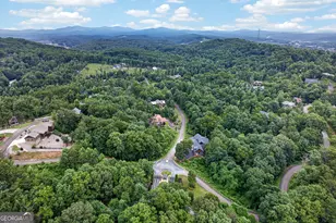 44 Staurolite Mountain Road, Blue Ridge, GA 30513 - Photo 172
