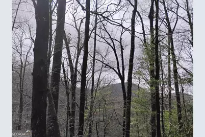 0 Lot 289 Cobblewood Trail, Sky Valley, GA 30537 - Photo 1