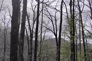0 Cobblewood Trail Lot 289, Sky Valley, GA 30537 - Photo 1