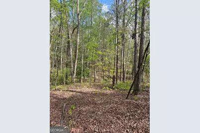0 Valley Rescue Mission Road #203, Hamilton, GA 31811 - Photo 12