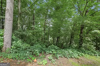 Lot G1 Waterfall Drive, Clayton, GA 30525 - Photo 10