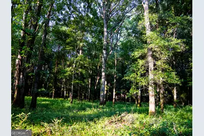 0 State Route 26 Road, Montezuma, GA 31063 - Photo 36