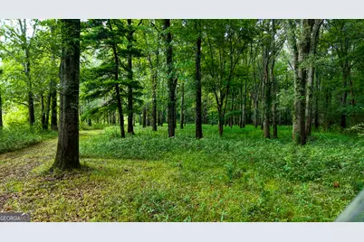0 State Route 26 Road, Montezuma, GA 31063 - Photo 32