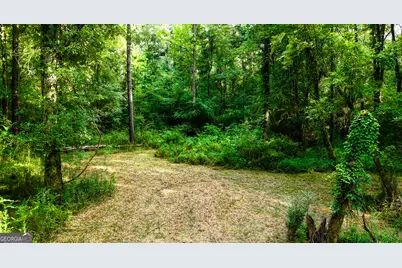 0 State Route 26 Road, Montezuma, GA 31063 - Photo 16