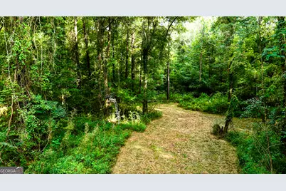 0 State Route 26 Road, Montezuma, GA 31063 - Photo 14