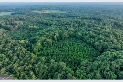 153 Lot 1 and 2 Highland Circle, Flovilla, GA 30216 - Photo 56