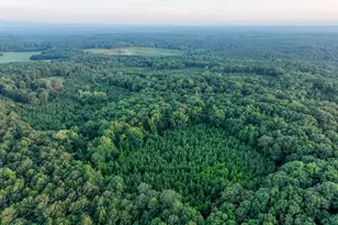 153 Lot 1 and 2 Highland Circle, Flovilla, GA 30216 - Photo 56