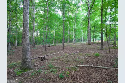 153 Lot 1 and 2 Highland Circle, Flovilla, GA 30216 - Photo 50