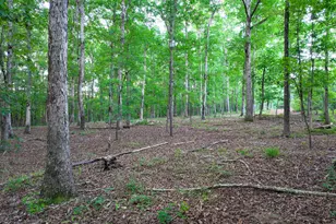 153 Lot 1 and 2 Highland Circle, Flovilla, GA 30216 - Photo 50