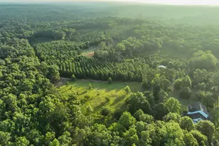 153 Lot 1 and 2 Highland Circle, Flovilla, GA 30216 - Photo 62