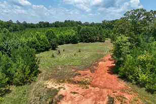 153 Lot 1 and 2 Highland Circle, Flovilla, GA 30216 - Photo 48