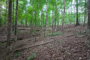 153 Lot 1 and 2 Highland Circle, Flovilla, GA 30216 - Photo 58