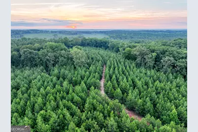 153 Lot 1 and 2 Highland Circle, Flovilla, GA 30216 - Photo 2
