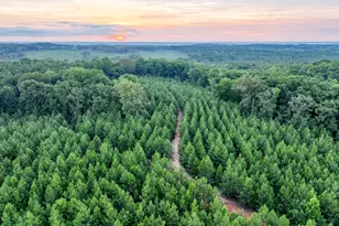 153 Lot 1 and 2 Highland Circle, Flovilla, GA 30216 - Photo 2
