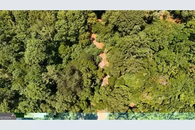 49.2 Acres Jordon Road, Waverly Hall, GA 31831 - Photo 32