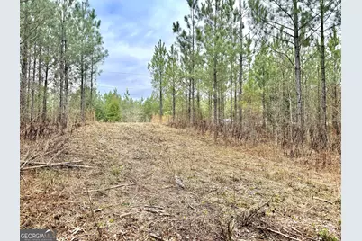 49.2 Acres Jordon Road, Waverly Hall, GA 31831 - Photo 18