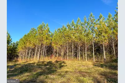 49.2 Acres Jordon Road, Waverly Hall, GA 31831 - Photo 1