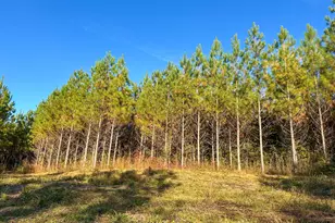49 2 Acres Jordon Rd, Waverly Hall, GA 31831 - Photo 1