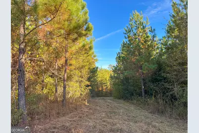 49.2 Acres Jordon Road, Waverly Hall, GA 31831 - Photo 12
