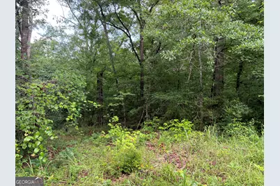 49.2 Acres Jordon Road, Waverly Hall, GA 31831 - Photo 36