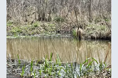 49.2 Acres Jordon Road, Waverly Hall, GA 31831 - Photo 16