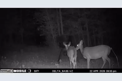 49.2 Acres Jordon Road, Waverly Hall, GA 31831 - Photo 10