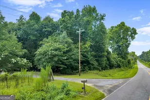 1060 Cooks Mill Rd, Oglethorpe, GA 31068 - Photo 76