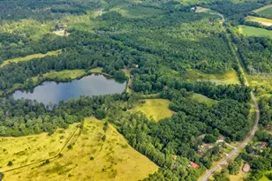 1060 Cooks Mill Rd, Oglethorpe, GA 31068 - Photo 86