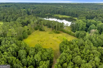 1060 Cooks Mill Road, Oglethorpe, GA 31068 - Photo 78