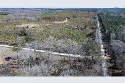 0 Millen Road #19, Monticello, GA 31064 - Photo 2