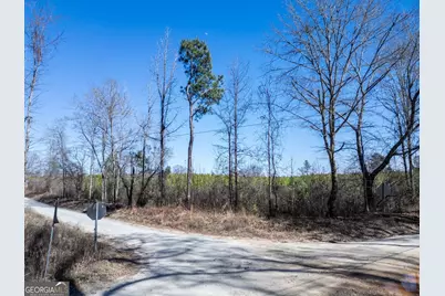 0 Millen Road #18, Monticello, GA 31064 - Photo 2