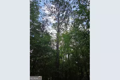 0 Fairway Lane, Hawkinsville, GA 31036 - Photo 4